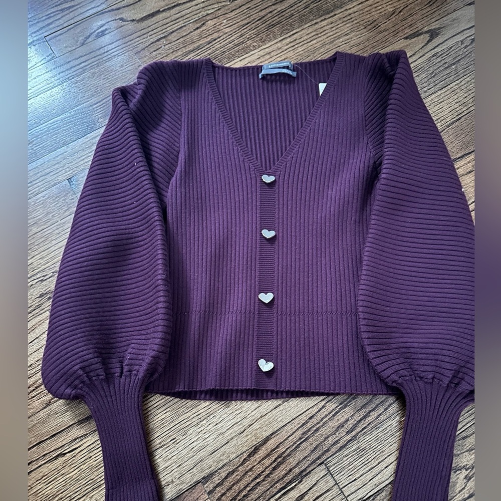 NWT Anthropologie V neck sweater.  Pretty cranberry colored